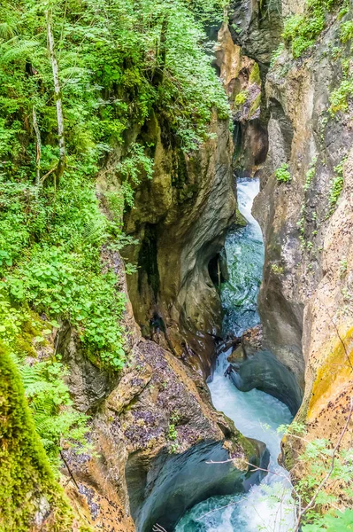 Slovenya 'daki Mostnica vadisinin yaz mevsiminde üst kesimlerinden bir manzara