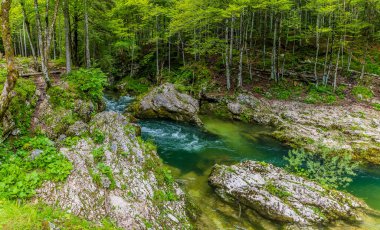 Slovenya 'nın Mostnica vadisindeki Mostnica nehrinin nehir yatağındaki büyük kayalara bakan bir manzara