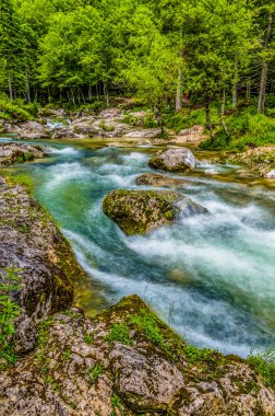 Slovenya 'nın Mostnica vadisindeki Mostnica nehrinin aşağısındaki bir nehir yatağının uzun pozlama manzarası
