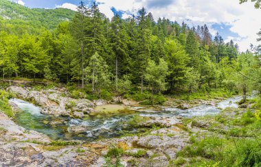 Slovenya 'nın Mostnica vadisindeki Mostnica nehrinin aşağısındaki bir nehrin manzarası yaz mevsiminde
