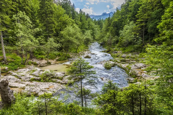 夏天斯洛文尼亚莫斯特尼察峡谷莫斯特尼察河下游的风景 — 图库照片