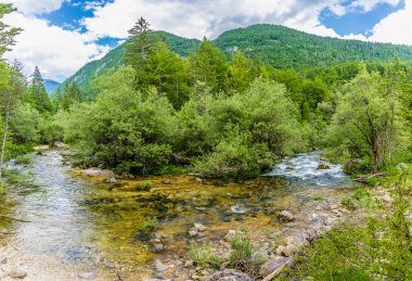 Slovenya 'nın Mostnica vadisinde yaz mevsiminde Mostnica nehrinin eteklerinde bir nehir manzarası