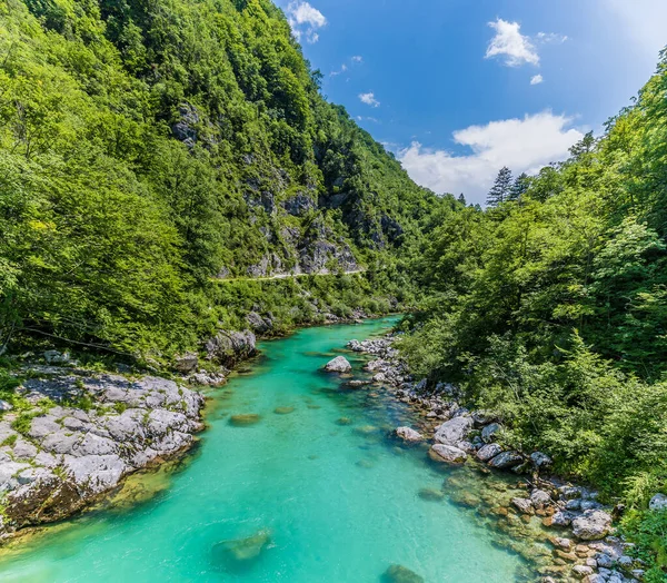 Uma Vista Passarela Descendo Rio Soca Eslovênia Verão — Fotografia de Stock