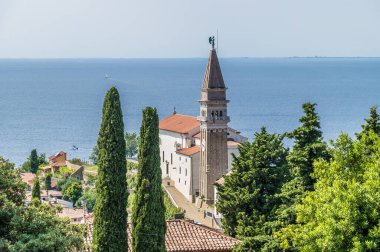Slovenya 'nın Piran kentindeki katedrale doğru ağaçların arasından bir manzara