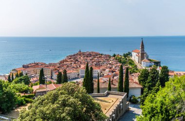 Slovenya 'nın Piran kentinde yaz mevsiminde ağaçların arasından katedral ve promontuara doğru bir manzara