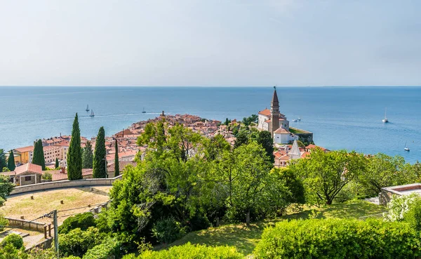 Slovenya 'nın Piran kentinde yaz mevsiminde eski kent duvarlarından manzaralı bir manzara