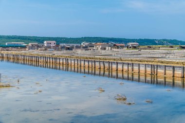 Slovenya 'nın başkenti Piran yakınlarındaki Secovlje' deki tuz tavalarında kristalleşme havuzlarının manzarası