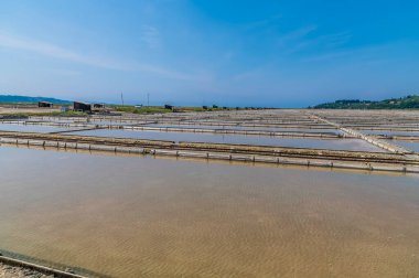 Slovenya 'nın Piran kenti yakınlarındaki Secovlje' deki tuz tavalarındaki konsantrasyon havuzlarının manzarası