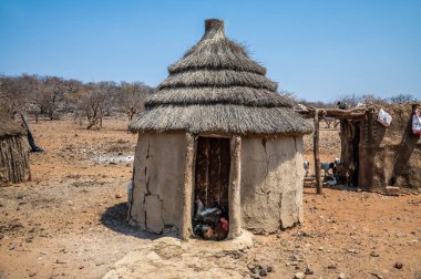 Kurak mevsimde Namibya 'daki Himba kabilesinin gölgesini bulan tavukların görüntüsü