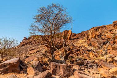 Kurak mevsim boyunca Namibya 'daki Twyfelfontein' de nehir vadisinin kenarlarına bakan bir manzara