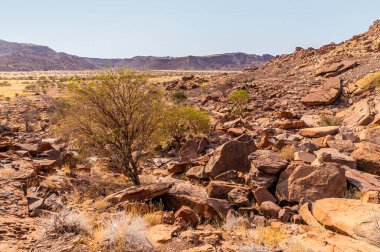 Kurak mevsimde Namibya 'daki Twyfelfontein' deki nehir vadisine doğru bir manzara