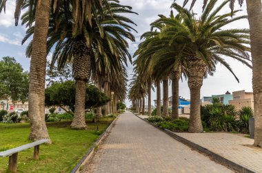 Kurak mevsimde Namibya, Swakopmund sahilinin yanındaki gezinti alanı boyunca bir manzara.