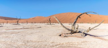 Kurak mevsimde Sossusvlei, Namibya 'daki ölü vadi manzarası