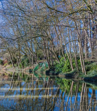 İngiltere 'nin Market Harborough yakınlarındaki Büyük Birlik kanalında parlak bir kış gününde yansımalar görülüyor.