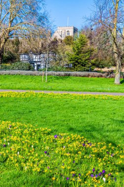 Güneşli bir günde İngiltere 'nin Peterborough kentindeki Nene nehrinin yanındaki Riverside parkından katedrale doğru bir manzara.