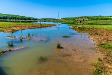 Arnavutluk 'un Albasan ilindeki Belsh göllerindeki bir göl kolunun yaz mevsiminde manzarası
