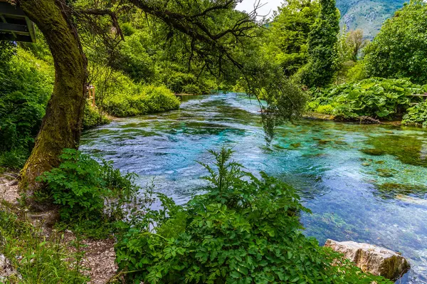 Arnavutluk 'un Muzine kentinde yaz mevsiminde mavi göz pınarıyla beslenen nehir kenarındaki bir viraj manzarası