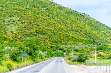 Arnavutluk 'un Tepelena kentine giden yoldaki yemyeşil bir tepe manzarası