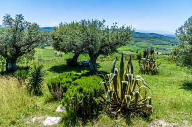 Arnavutluk 'ta yaz aylarında Apollonia' nın Roma harabelerini çevreleyen kırsal bir manzara