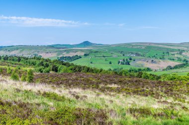 Yaz mevsiminde Gradbach, Staffordshire yakınlarındaki Luds Kilisesi 'ne yakın Heather' ın manzarası