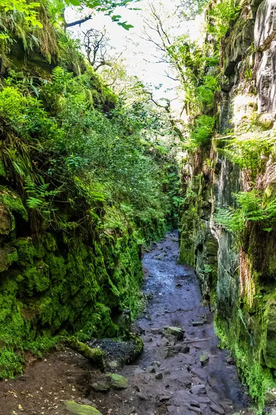 Yazın Gradbach, Staffordshire yakınlarındaki Luds Kilisesi 'nin dibinde bir manzara