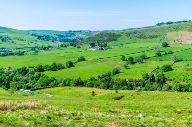 Yazın Staffordshire 'daki Luds Kilisesi' ne giden yoldan Allgreave 'e doğru kırsal bir manzara.