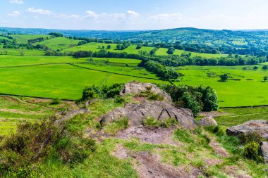 Yaz aylarında Staffordshire 'daki Lud Kilisesi' nin yakınındaki hamamböceklerinin kuzey ucunda kayalık bir çıkıntı boyunca bir manzara.
