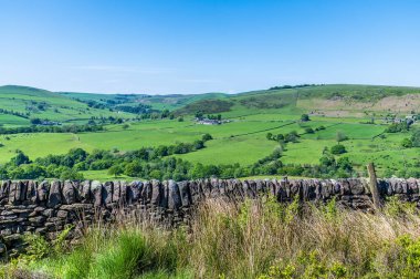Yaz mevsiminde Staffordshire 'daki Luds Kilisesi' ne giden yoldaki alçı taşı duvardan geçerek tarım arazisine doğru bir manzara.