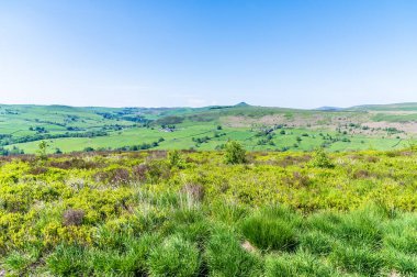 A view across the top of the northern end of the Roaches escarpment near to Lud's Church in Staffordshire in summertime clipart