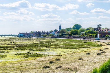 Yaz mevsiminde Batı Sussex, Bosham 'da kıyı şeridi boyunca bir manzara.