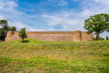 Yaz mevsiminde İtalya 'nın Urbino kentindeki Albornoz Kalesi' nin duvarına yakın çekim