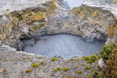 Yazın Azores 'deki San Miguel adasında Furnas Gölü' nün yanında çamurla dolu bir fümerol manzarası.