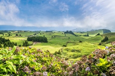 Coal Peak Varış Noktası 'ndaki ortancalardaki boşluktan Azores' deki San Miguel Adası 'na bir bakış açısı.