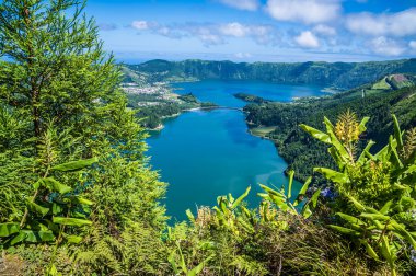 Yazın Azores 'de San Miguel adasındaki Yedi Şehir bölgesindeki Yeşil ve Mavi göllere doğru uzanan bitki örtüsündeki boşluktan bir manzara.