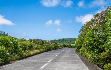Yazın Azores 'de San Miguel adasındaki Yedi Şehir bölgesinden ayrılan bir manzara.