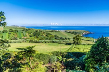 Yaz mevsiminde Porto Formoso 'daki çay çiftliği ve sahil köyünün manzarası.