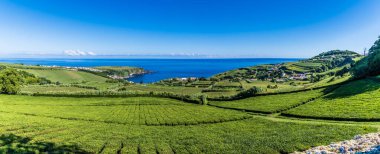 Yaz mevsiminde Azores 'de Porto Formoso' daki çay çiftliği ve kıyı köyünün manzarası.