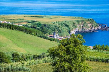 Yazın Azores 'de Porto Formoso' daki sahil köyüne doğru çay tarlasından bir manzara.