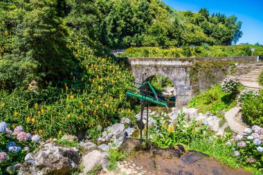 Ribeiria şelalesinden beslenen nehir üzerindeki köprünün manzarası Azores 'deki Sao Miguel adasında.