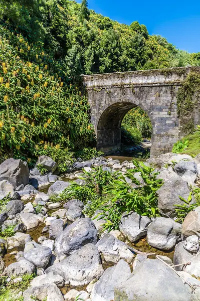 Yazın Azores 'de Sao Miguel adasındaki Ribeiria şelalesinin yanındaki kayaların aşağısındaki nehir yatağının manzarası.