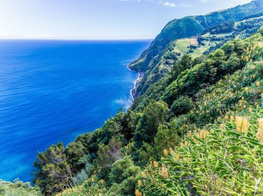 Sossego 'da, Azores' de Sao Miguel adasındaki çiçek açan bitkilerin manzarası