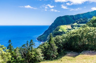 Azores 'de Sao Miguel adasındaki Sossego' daki kayalıklardan ağaçların ötesine bakan bir manzara