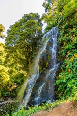 A long exposure view of the side of a waterfall at the Ribeiria waterfalls on the island of Sao Miguel in the Azores in summertime clipart