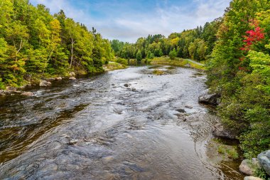 Newfoundland, Kanada 'daki Brook Nehrinin köşesindeki yaya köprüsünden bir manzara