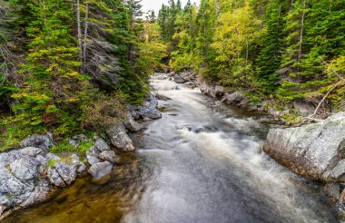 Newfoundland, Kanada 'daki Brook Nehrinin köşesindeki bir yaya köprüsünden uzun pozlama görüntüsü