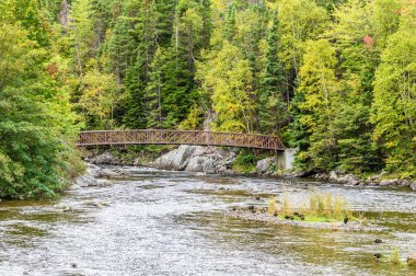 Newfoundland, Kanada 'daki Brook Nehrinin köşesindeki yaya köprüsüne doğru bir manzara