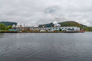Newfoundland, Kanada 'da Newfoundland' daki Brook Koyu 'nun karşısındaki gemi terminalinden bir görüntü.