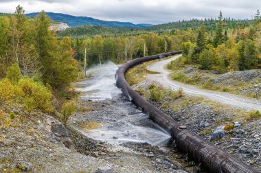 Newfoundland, Kanada 'da, Corner Brook' un yukarısında sonbaharda büyük sızıntıları gösteren bir viraj manzarası.