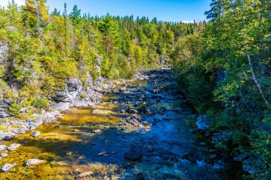 Newfoundland, Kanada 'da, Corner Brook' un yukarısındaki nehir yatağında kayaların manzarası