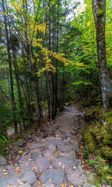 Sonbaharda Kanada 'daki Quebec' teki Saguenay Fjord Ulusal Parkı 'nda zirveye giden yolun dik bir bölümünün manzarası